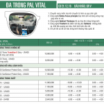 ĐA TRÒNG RODENSTOCK