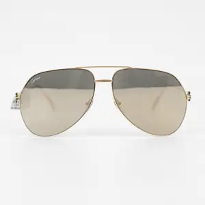 CARTIER CT0110S 007