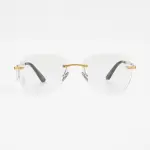 CARTIER CT0254O 001