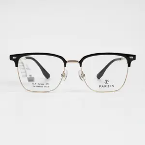 PARZIN PY68006