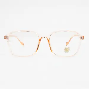 BROWN 9002