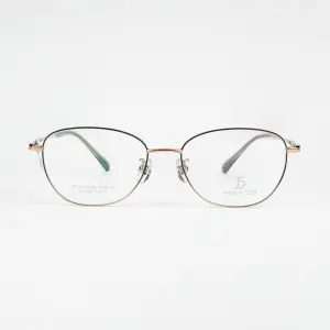 FRENDISS F-6029