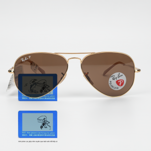 RAYBAN RB3689